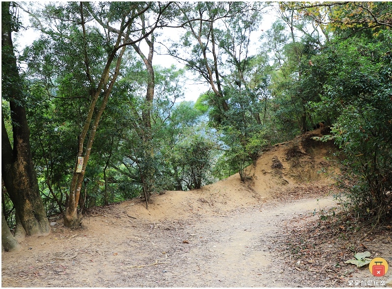 屏東白賓山步道！必訪白賓名樹！遼闊視野盡攬屏東美景！三角點海