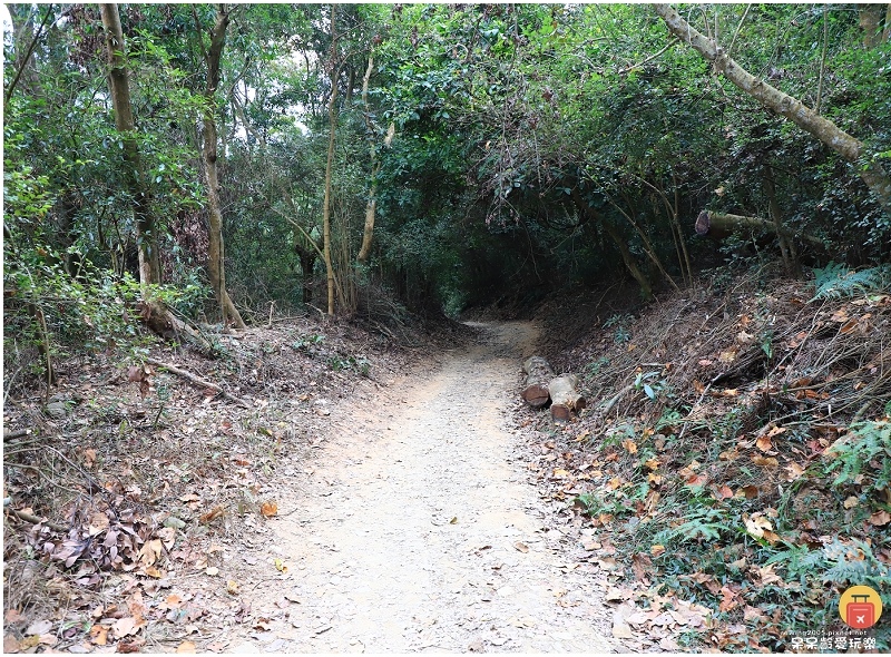 屏東白賓山步道！必訪白賓名樹！遼闊視野盡攬屏東美景！三角點海