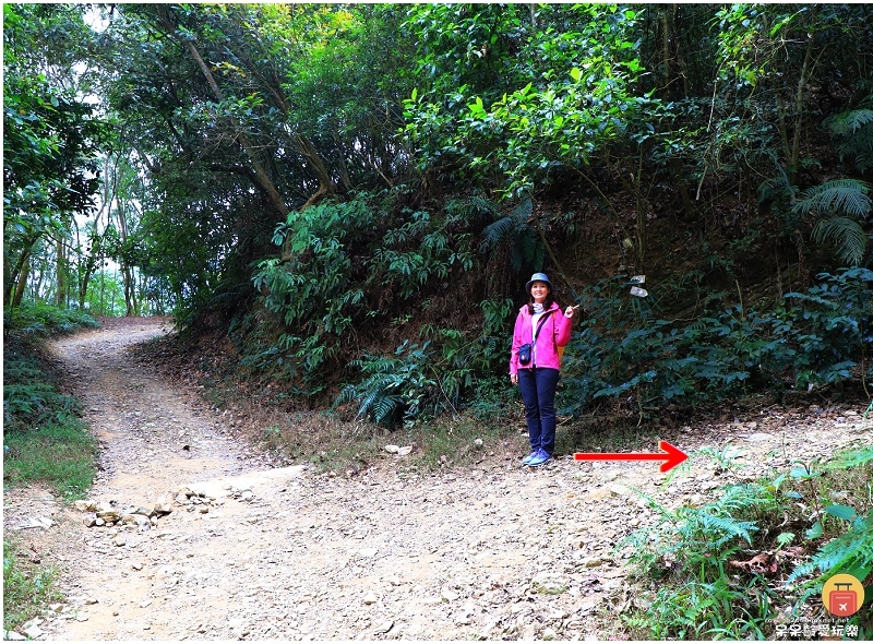 屏東白賓山步道！必訪白賓名樹！遼闊視野盡攬屏東美景！三角點海