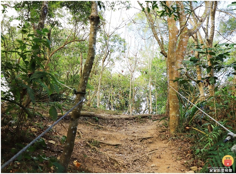 屏東白賓山步道！必訪白賓名樹！遼闊視野盡攬屏東美景！三角點海