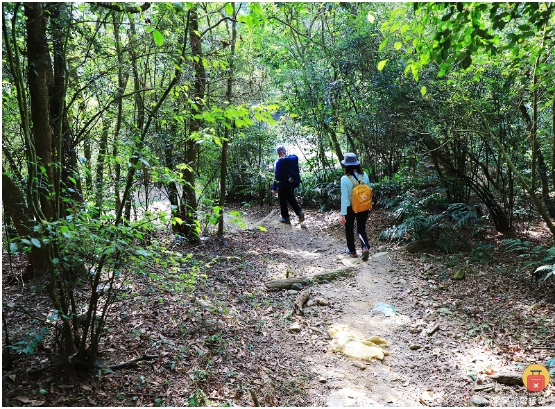 屏東白賓山步道！必訪白賓名樹！遼闊視野盡攬屏東美景！三角點海