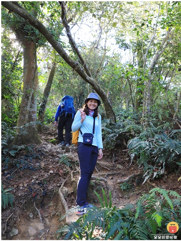 屏東白賓山步道！必訪白賓名樹！遼闊視野盡攬屏東美景！三角點海