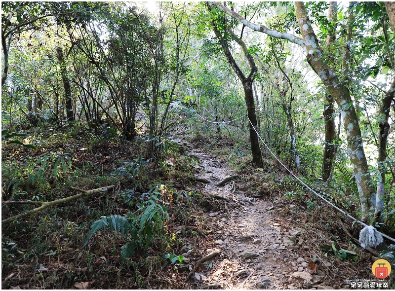 屏東白賓山步道！必訪白賓名樹！遼闊視野盡攬屏東美景！三角點海