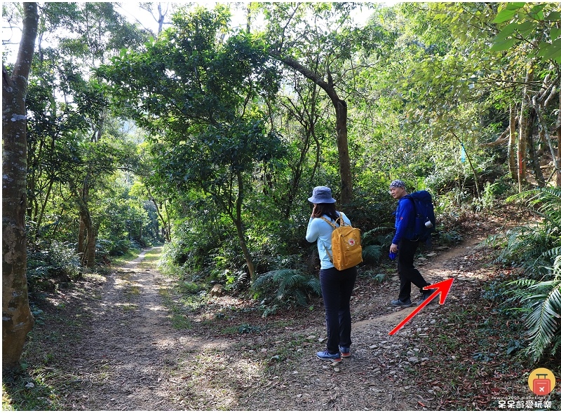 屏東白賓山步道！必訪白賓名樹！遼闊視野盡攬屏東美景！三角點海