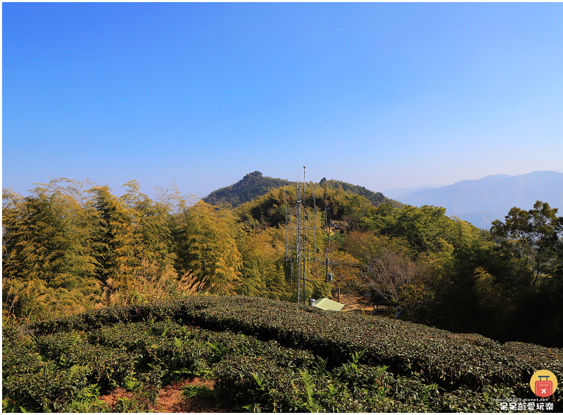 嘉義景點｜大尖山步道！小百岳五嶽之一！抹茶翠綠茶園！夢幻竹林