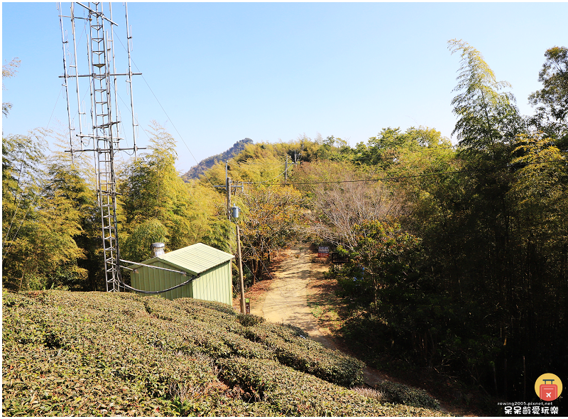 嘉義景點｜大尖山步道！小百岳五嶽之一！抹茶翠綠茶園！夢幻竹林