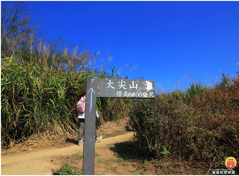 嘉義景點｜大尖山步道！小百岳五嶽之一！抹茶翠綠茶園！夢幻竹林