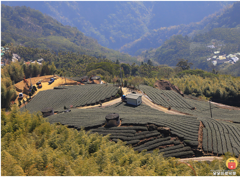 嘉義景點｜大尖山步道！小百岳五嶽之一！抹茶翠綠茶園！夢幻竹林