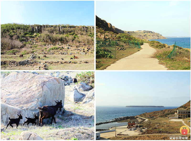 澎湖景點｜虎井嶼！全球十大秘密島嶼！一探貓島及小希臘美景！