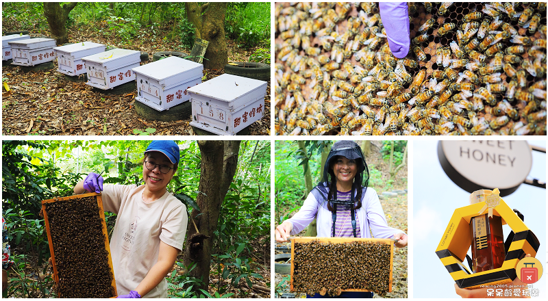 高雄旅行｜甜蜜蜂坊Sweet Honey！體驗神秘養蜂蜂場！