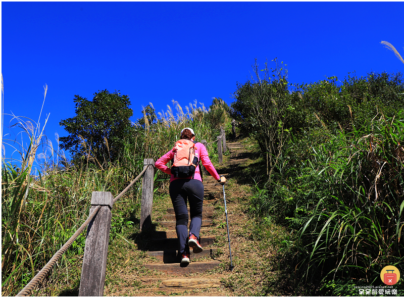 新北景點｜半屏山步道！海拔705公尺！盡覽無耳茶壺山、基隆山