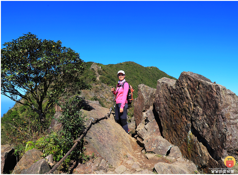 新北景點｜半屏山步道！海拔705公尺！盡覽無耳茶壺山、基隆山