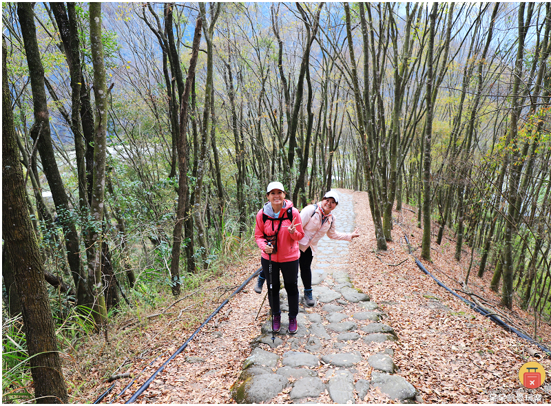 南投景點｜望美山獵人古道！遠眺玉山群峰視野極佳！望鄉部落美景