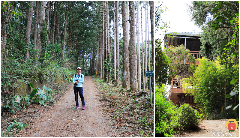 南投景點｜望美山獵人古道！遠眺玉山群峰視野極佳！望鄉部落美景