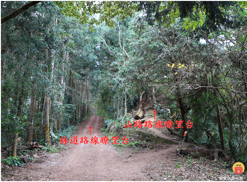 南投景點｜望美山獵人古道！遠眺玉山群峰視野極佳！望鄉部落美景