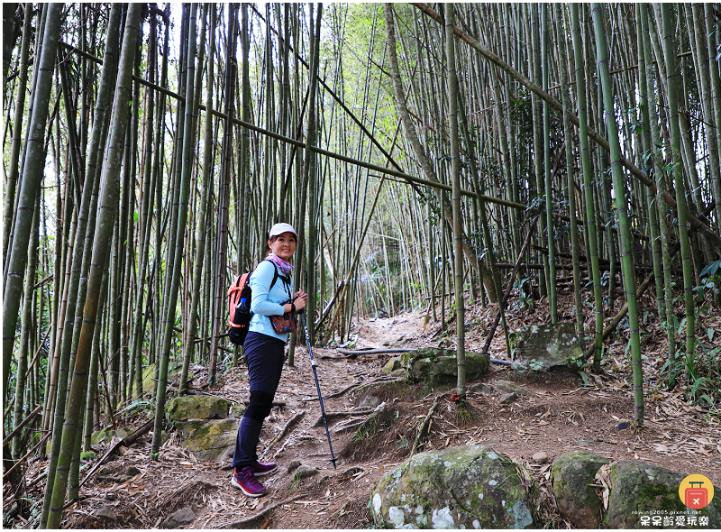 南投景點｜望美山獵人古道！遠眺玉山群峰視野極佳！望鄉部落美景