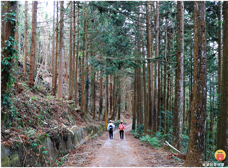 南投景點｜望美山獵人古道！遠眺玉山群峰視野極佳！望鄉部落美景