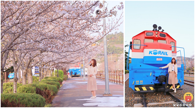 釜山景點｜鎮海慶和火車站！絕美櫻花鐵道！鎮海一日遊必遊景點！