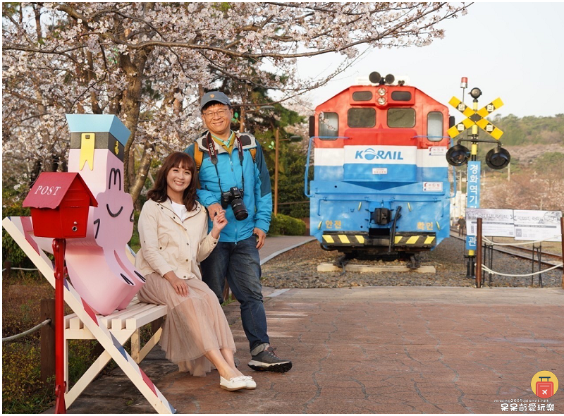 釜山景點｜鎮海慶和火車站！絕美櫻花鐵道！鎮海一日遊必遊景點！