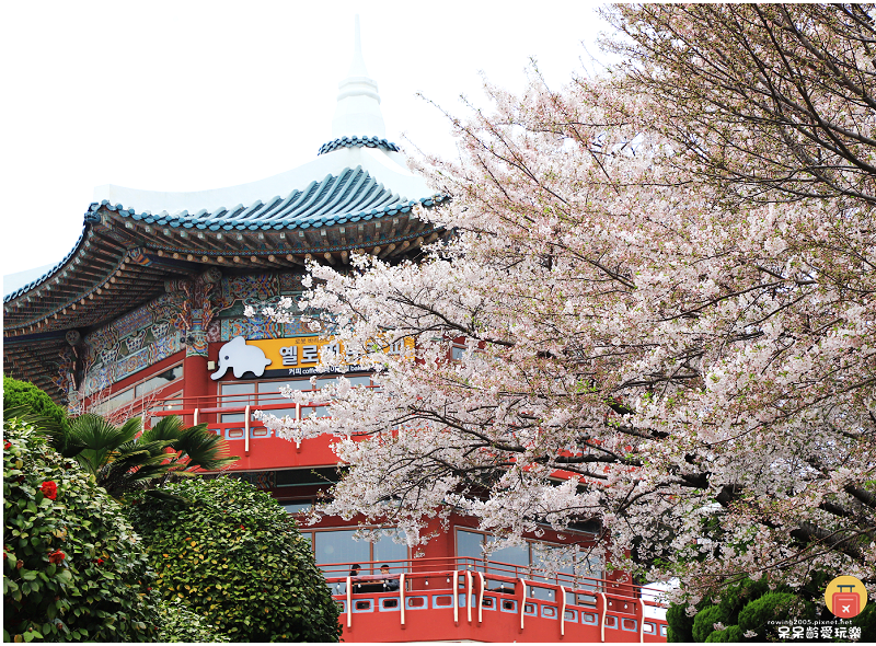 釜山景點｜龍頭山公園釜山塔！大鮮燒酒 대선소주釜山限定！