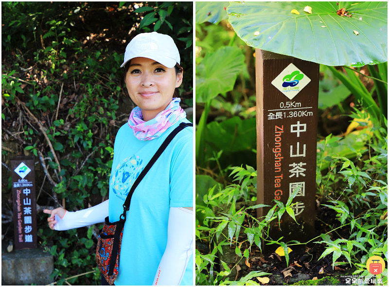 宜蘭景點|中山茶園步道!輕鬆遠眺龜山島及蘭陽平原美景!步行1 宜蘭景點|中山茶園步道!輕鬆遠眺龜山島及蘭陽平原美景!步行1