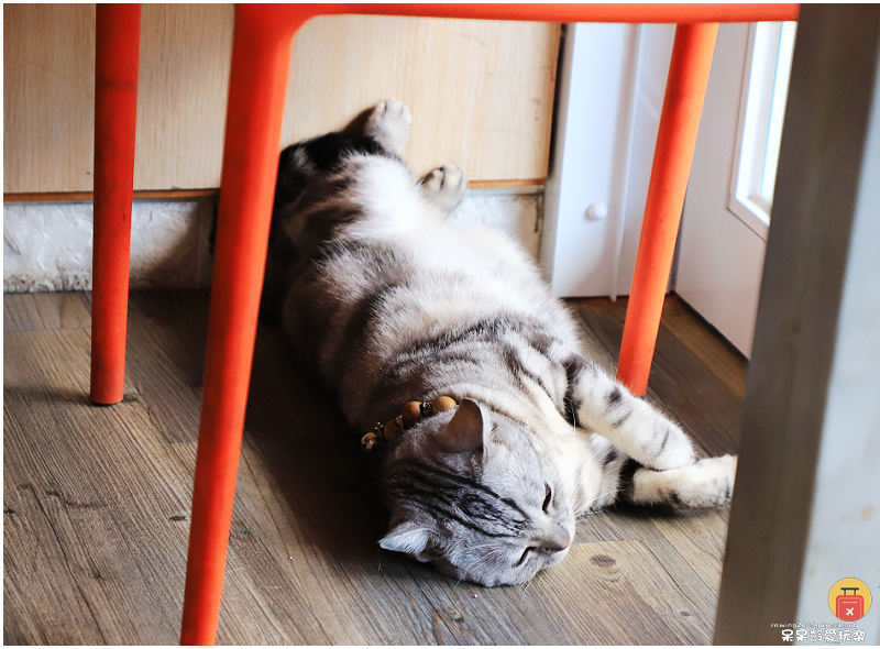 宜蘭美食｜冰點老店綿綿冰！傳統的製作方式！古早味讓人好喜愛！