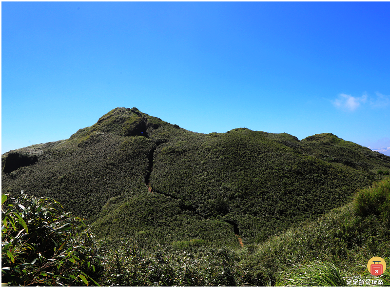 台北景點｜七星山主峰+東峰！台北第一高峰！觀賞台北絕美視角！