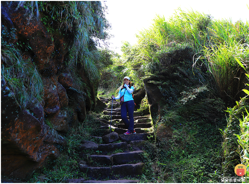 台北景點｜七星山主峰+東峰！台北第一高峰！觀賞台北絕美視角！