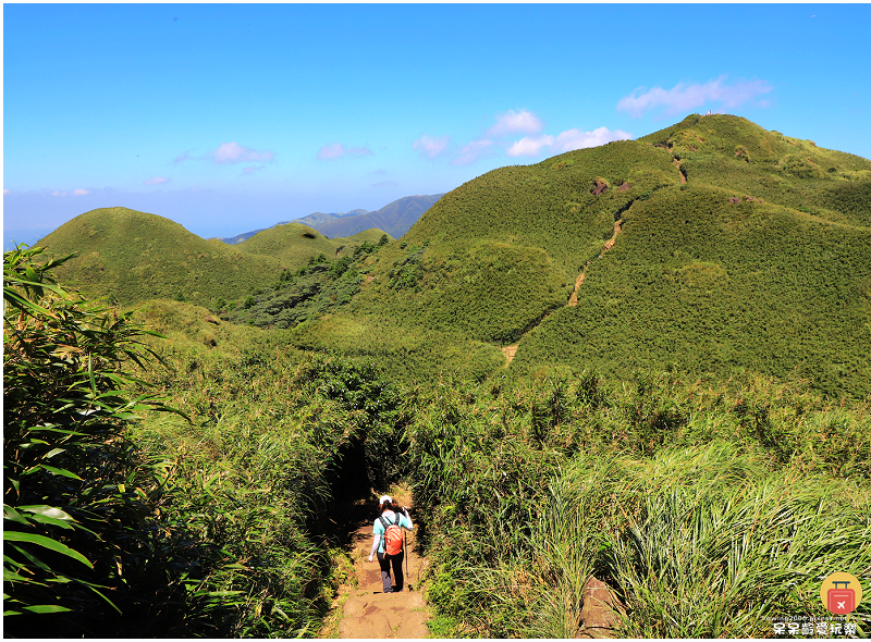 台北景點｜七星山主峰+東峰！台北第一高峰！觀賞台北絕美視角！