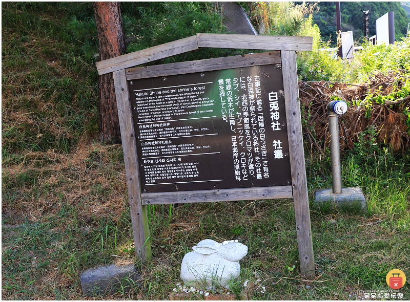 日本鳥取景點｜白兔神社！結緣兔子御守超可愛！戀人聖地白兔海岸