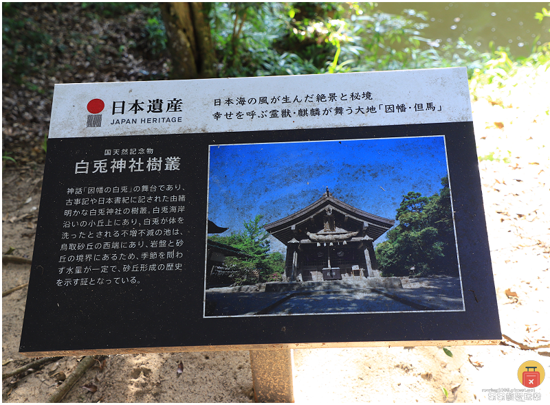 日本鳥取景點｜白兔神社！結緣兔子御守超可愛！戀人聖地白兔海岸