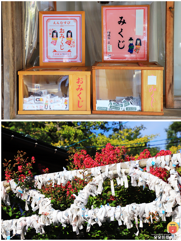 日本鳥取景點｜白兔神社！結緣兔子御守超可愛！戀人聖地白兔海岸