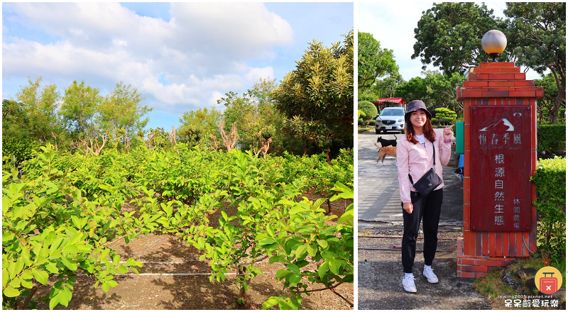 屏東景點｜農場可以這樣玩！根源自然生態農場！沐涵軒休閒農場！
