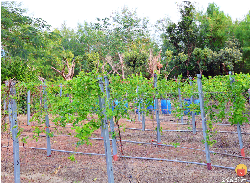 屏東景點｜農場可以這樣玩！根源自然生態農場！沐涵軒休閒農場！