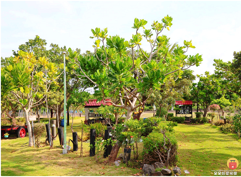 屏東景點｜農場可以這樣玩！根源自然生態農場！沐涵軒休閒農場！