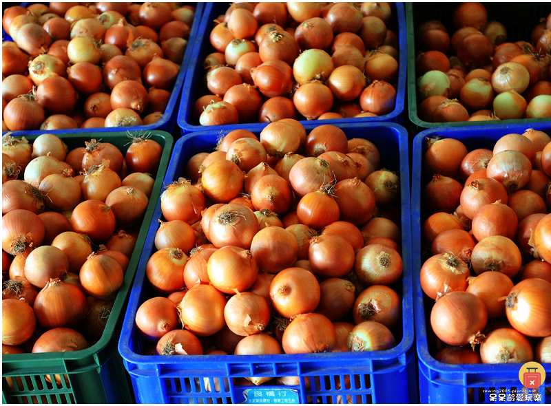 屏東景點｜農場可以這樣玩！根源自然生態農場！沐涵軒休閒農場！
