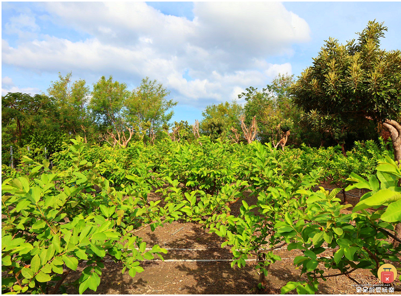 屏東景點｜農場可以這樣玩！根源自然生態農場！沐涵軒休閒農場！