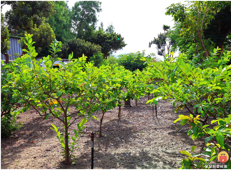 屏東景點｜農場可以這樣玩！根源自然生態農場！沐涵軒休閒農場！