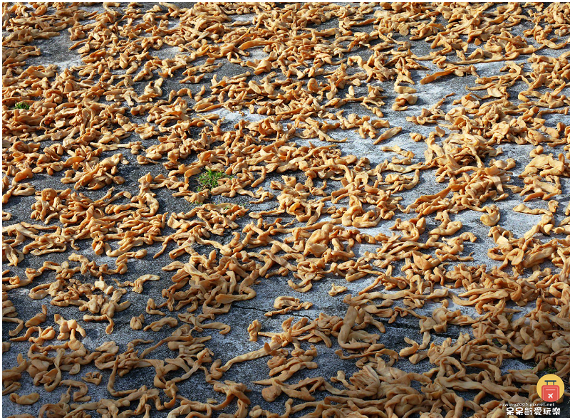 屏東景點｜農場可以這樣玩！根源自然生態農場！沐涵軒休閒農場！