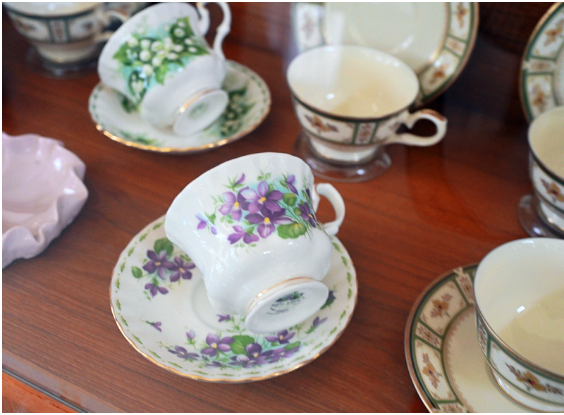 屏東景點｜農場可以這樣玩！根源自然生態農場！沐涵軒休閒農場！