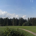 87.JPG