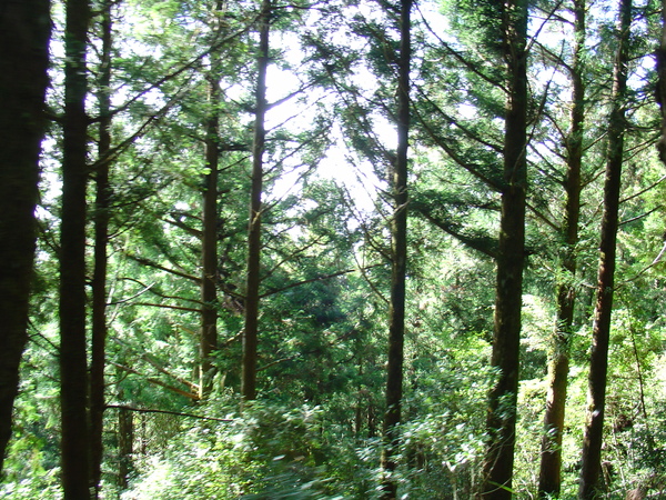 沿途風景