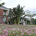 台東森林公園03.jpg