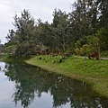 台東森林公園22.jpg