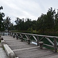 台東森林公園29.jpg