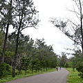 台東森林公園42.jpg