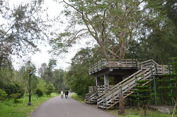 台東森林公園43.jpg