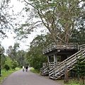 台東森林公園43.jpg