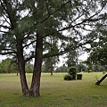 台東森林公園45.jpg