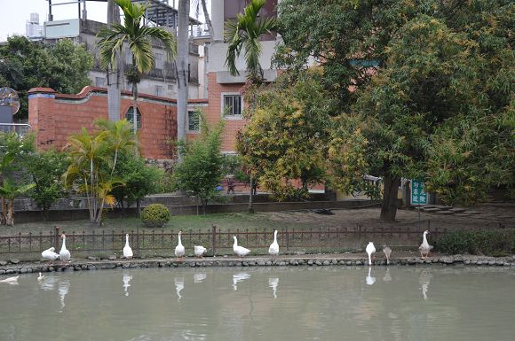 霧峰林家花園18.jpg